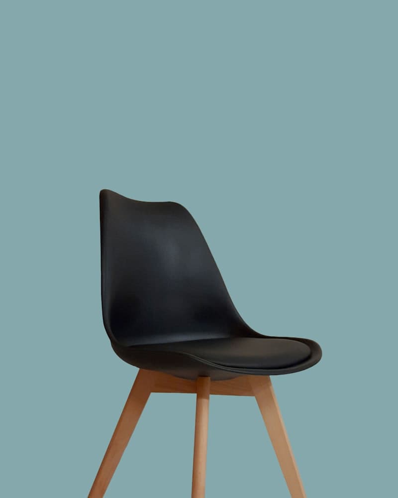Ergo Task Chair